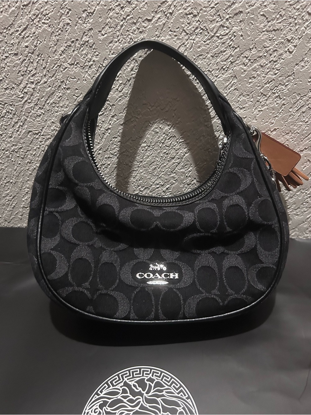 COACH Black Signature Crescent Hobo Bag